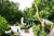 Dinosaur models in a themed area with visitors and 'Lost World' sign.