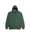JH001 AWDis College Unisex Bottle Green Hoodie Flat View