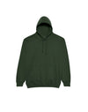 JH001 AWDis College Unisex Forest Green Hoodie Flat View