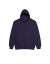 JH001 AWDis College Unisex New French Navy Hoodie Flat View