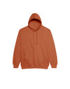JH001 AWDis College Unisex Ginger Biscuit Hoodie Flat View