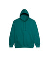 JH001 AWDis College Unisex Jade Hoodie Flat View