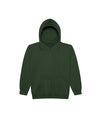 JH001J AWDis Kids Hoodie Forest Green Flat View