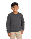 AWDis JustHoods Kids Sweatshirt: Charcoal (JH030J)