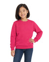 AWDis JustHoods Kids Sweatshirt: Hot Pink (JH030J)