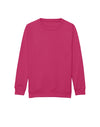 AWDis JustHoods Kids Sweatshirt: Hot Pink (JH030J)
