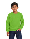 AWDis JustHoods Kids Sweatshirt: Lime Green (JH030J)