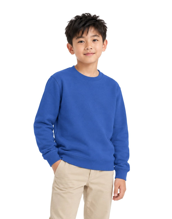 AWDis JustHoods Kids Sweatshirt: Royal Blue (JH030J)
