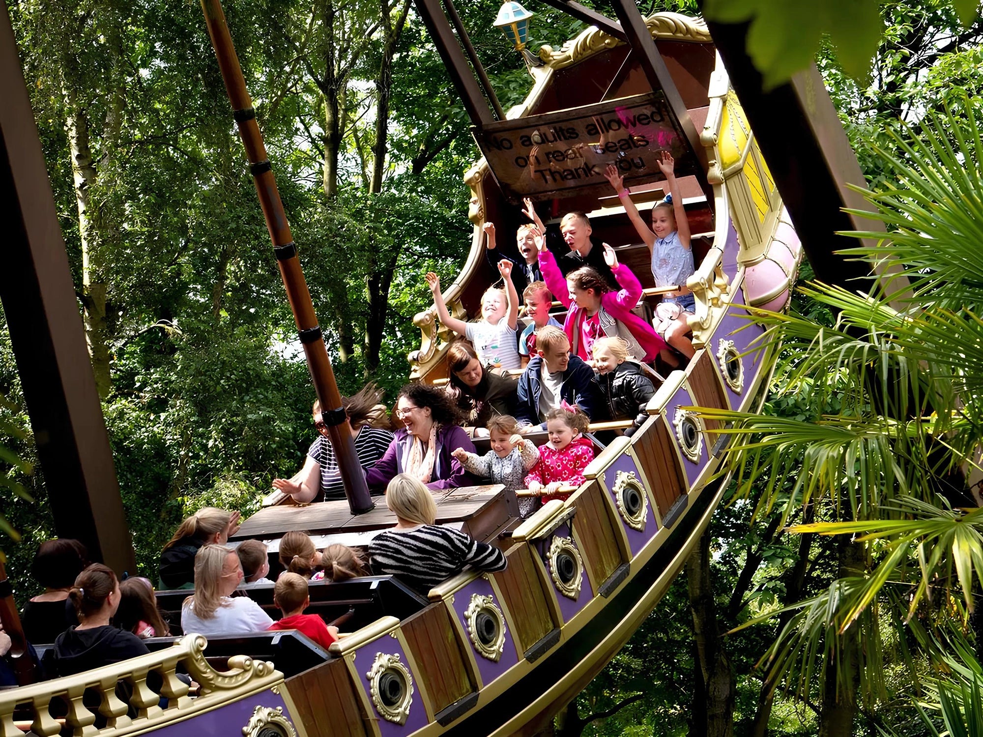 People enjoying a roller coaster ride at an amusement park with trees in the background