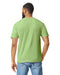 Gildan 64000 mens unisex adult Softstyle t-shirt Kiwi back