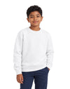 AWDis JustHoods Kids Sweatshirt: White (JH030J)