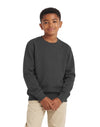 AWDis JustHoods Kids Sweatshirt: Storm Grey (JH030J)