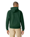 SF500 Gildan Softstyle Adult HoodiebackSide View
