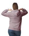 SF500 Gildan Softstyle Adult Hoodie ParagonBack View