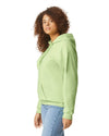 SF500 Gildan Softstyle Adult Hoodie Pistachio Side View