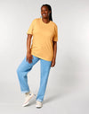 STTU169 Stanley Stella Creator 2.0 T-shirt in Nispero Women's Full Body Front View